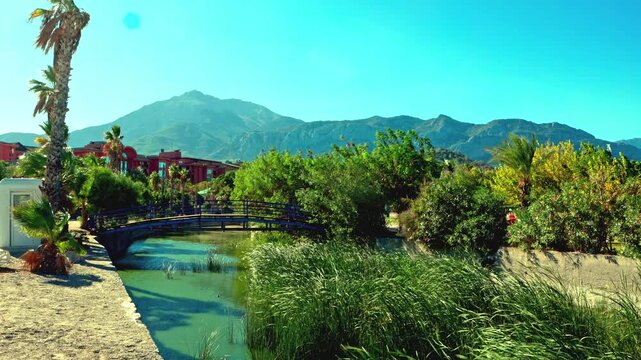 The footage captures the natural harmony of a river estuary gently flowing into the sea on a sandy beach, where reeds rustle and palm trees sway gracefully in the wind, creating an atmosphere of wild 