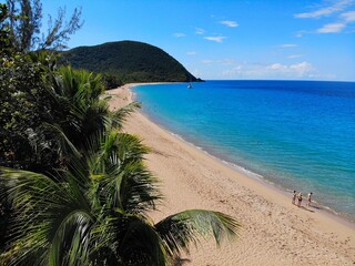 Guadeloupe sunny beach drone view. Caribbean vacation landscape. Grande Anse sandy beach on...