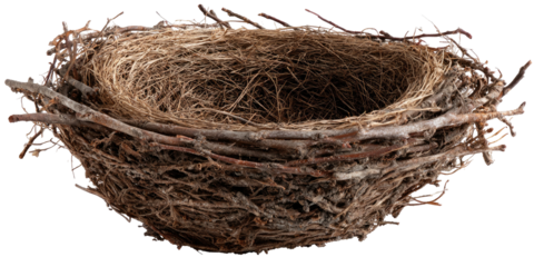 A close-up view of an empty, intricately woven bird's nest composed of twigs, straw, and natural fibers