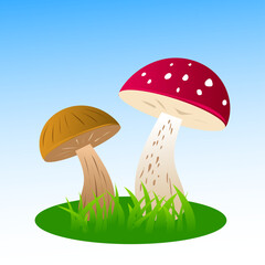 Two mushrooms illustration on a blue background mushrooms in the grass flat illustration