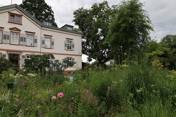 Blick in die Altstadt von Weinheim in Baden-Württemberg	
