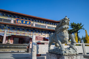 lion statue in front of the royal palace