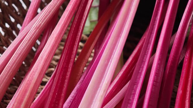 Swiss chard with bright red and orange stalks and green leaves in basket