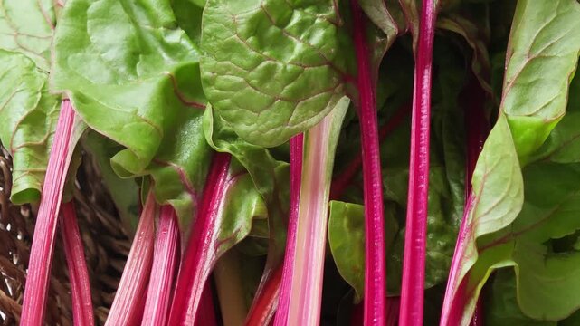  Swiss chard with bright red and orange stalks and green leaves in basket