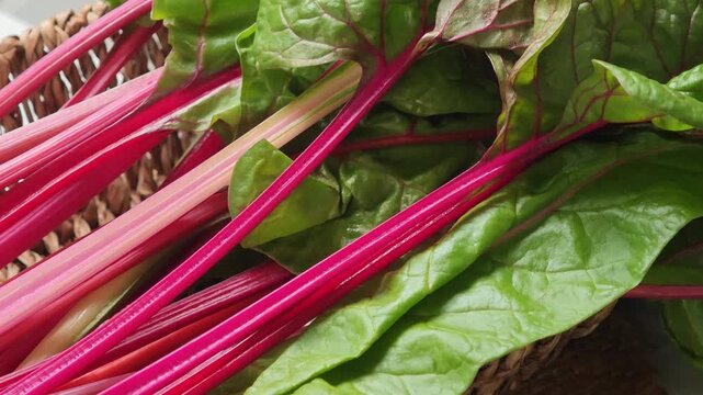  Swiss chard with bright red and orange stalks and green leaves in basket