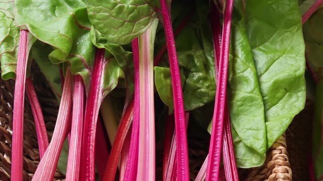  Swiss chard with bright red and orange stalks and green leaves in basket