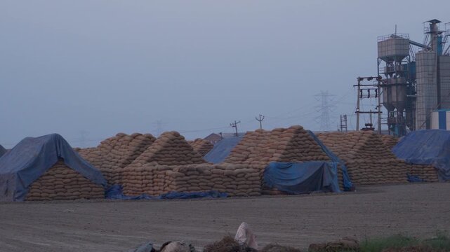Packed rice paddy bags stored in Karnal Haryana godown after harvesting season marking end of Kharif season. India