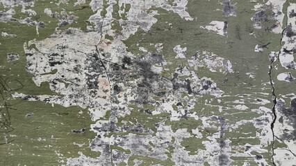 Old weathered concrete wall with peeling green paint texture, Abstract background of a cracked and heavily distressed wall surface