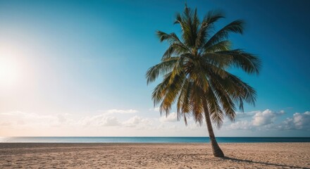 Tropical beach scene with a lone palm tree at sunrise