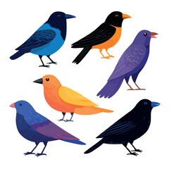 collection of birds