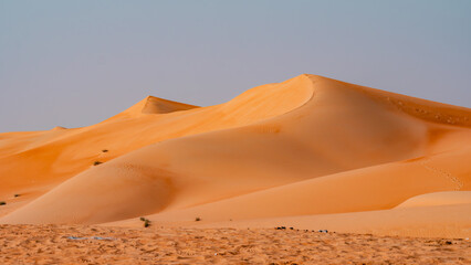 sand dunes in the desert
