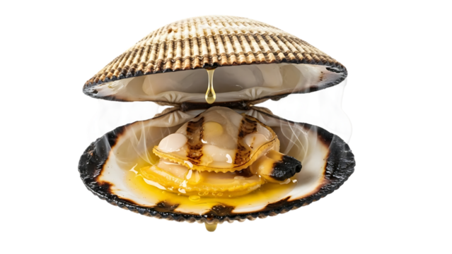 Grilled and open cockle scallop shell dripping with oil isolated on transparent background