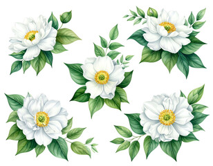 Five white blossoms with green foliage & yellow centers, black