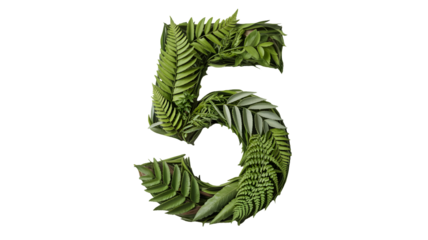 Number five formed from lush green fern leaves on a plain background isolated on transparent background