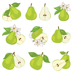 A collection of fresh, green, whole and halved pears with leaves, isolated on a white background. Fruit set. Vegetarian food. Healthy eating.