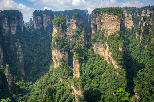 Lush forest and stone karst at the Avatar Mountains Zhangjiajie National Forest Park