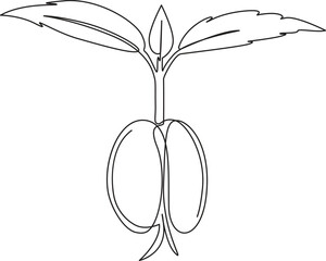Plant growth Line Art vector illustration,1