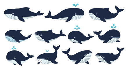 Obraz premium Collection of twelve blue whale illustrations in various simple, stylized poses, some spouting water. This marine animal set is perfect for nautical logos, patterns, and ocean-themed designs.