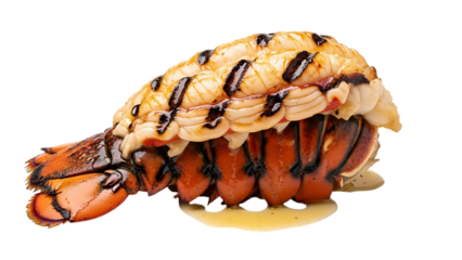 Grilled lobster tail delicacy drizzled with sauce isolated on transparent background for menu designs