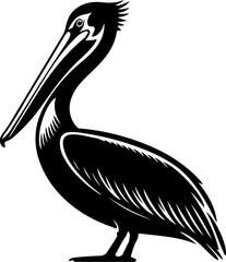 pelican silhouette vector illustration
