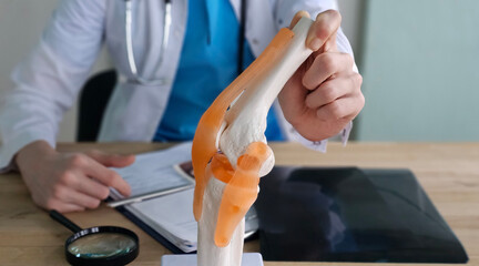 Orthopedic examination demonstrates knee joint