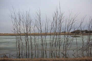 Some horses in the spring and other things in the pastures around the valley.
