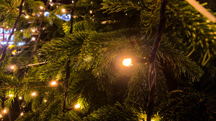 Christmas tree with warm lights and dark background for holiday season