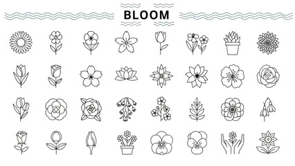 Vector illustration set of thin line flower icons. A collection of blooming plants, botanical symbols, and floral design elements