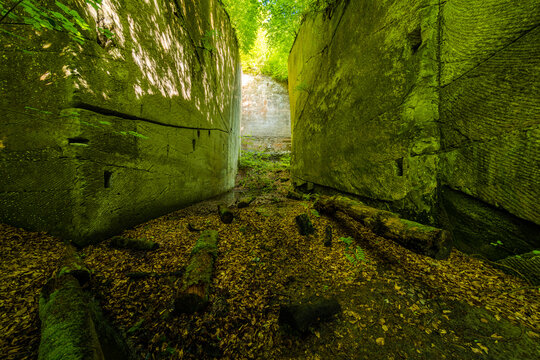 Moss-covered stone walls and fallen logs in an overgrown abandoned quarry corridor with sunlit opening