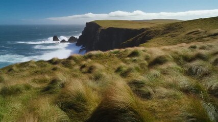 Dramatic coastal cliffs and windswept grasslands create a wild, natural scene perfect for travel vlogs or environmental documentaries