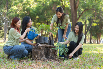 The volunteers show responsibility and teamwork as they collaborate to plant trees and care for plants. Their efforts support sustainability and conservation, helping earth thrive. Volunteer concept