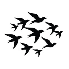 A dynamic flock of birds in silhouette taking flight isolated on white background