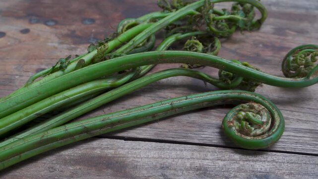 Fiddlehead Ferns on Wooden Cutting Board in Northern Indian Kitchen