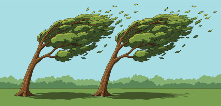 Windy weather illustration, bending trees, flying leaves, nature impact, outdoor scene, strong gusts, flat vector art, environmental theme