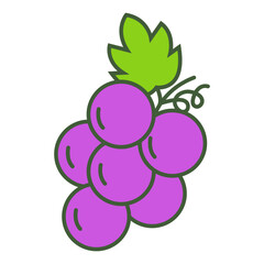 vector illustration of a bunch of grapes