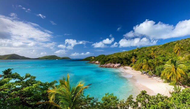 tropical shoreline in british virgin island bvi caribbean