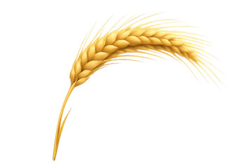 Naklejka premium Golden wheat stalk, ripe grain cereal agriculture harvest, natural food ingredient on transparent background