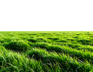 Bright green grass field under a stark, vast, artificial black sky