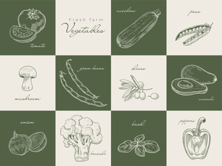 Green engraved vegetable set with tomato, zucchini, peas, beans, pepper, avocado, broccoli, mushroom, basil, onion and olives in classic farm vintage style.
