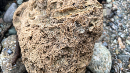 Detailed close-up of weathered brown rock with rough texture on pebbled beach shoreline