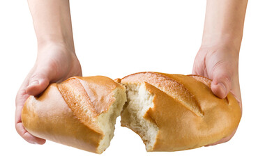 Loaf of bread in hands broken in half close-up on a white background. Isolated