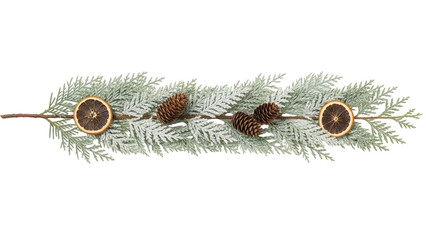 Isolated winter greenery garland with pine cones and dried oranges on a neutral background