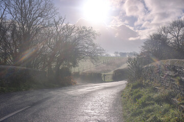 Fototapete bei efototapeten.de bestellen   