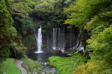 waterfall in the forest