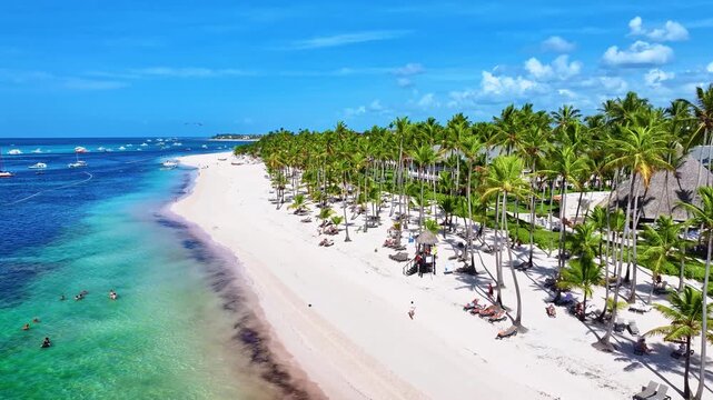 A palm-fringed white sand beach on the Caribbean coast. A tropical sunny day on a wild island. Coconut palms against a blue cloudy sky. Barcelo Bavaro Beach, Dominican Republic &ndash; October 20, 2024.