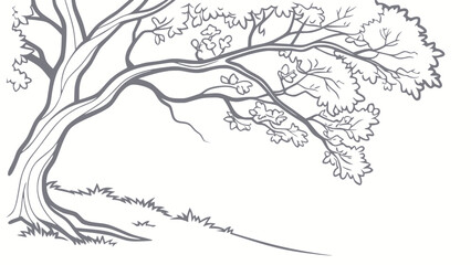 Obraz premium A detailed black and white sketch of a tree with curving branches and foliage