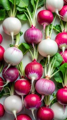 Assortment of Fresh Round Radishes with White and Pink Hues and Green Stems Arranged Artfully on a Light Surface