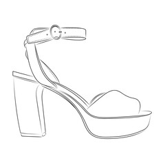 vector illustration of a shoe