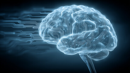 A digital circuit brain concept illustrating advanced computation, analytical precision and the synergy between technology and human thinking.
