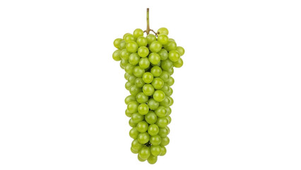 Isolated bunch of fresh green grapes, ripe and sweet, hanging from a stem, light-colored